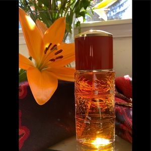 Yves Saint Laurent OPIUM 🍃Bay Leaves 🍊Orange, Plums, Spices, Exotic, Oriental
